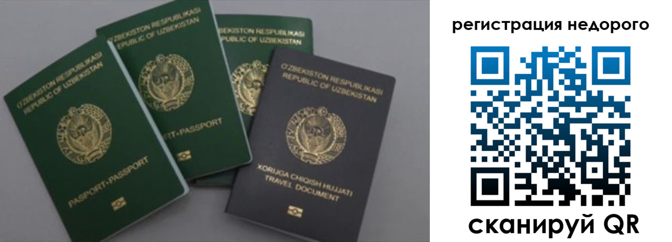 пропишу в квартире в Липецкая области